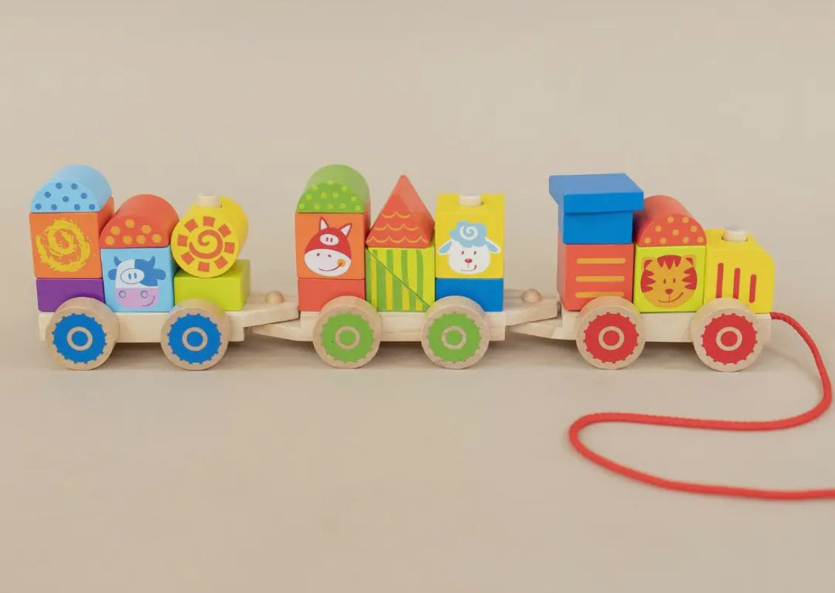 Farm Wooden Train Set