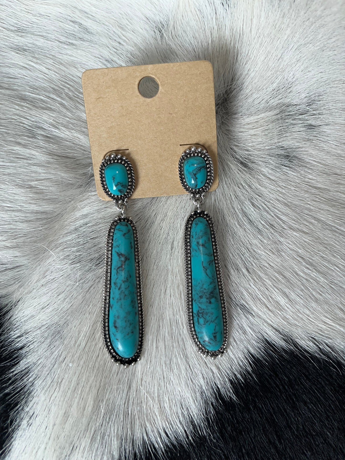 Concho Linear Oval Drop Earrings